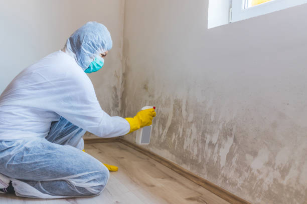 Hvac And Air Duct Mold Remediation inspection of HVAC system in Hurlock