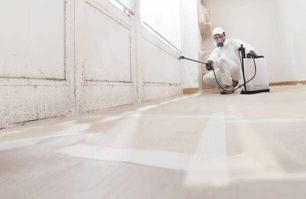 Black mold remediation team in Hurlock